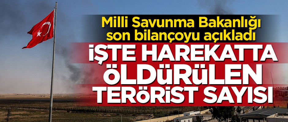 Milli Savunma Bakanlığı öldürülen terörist sayısını açıkladı