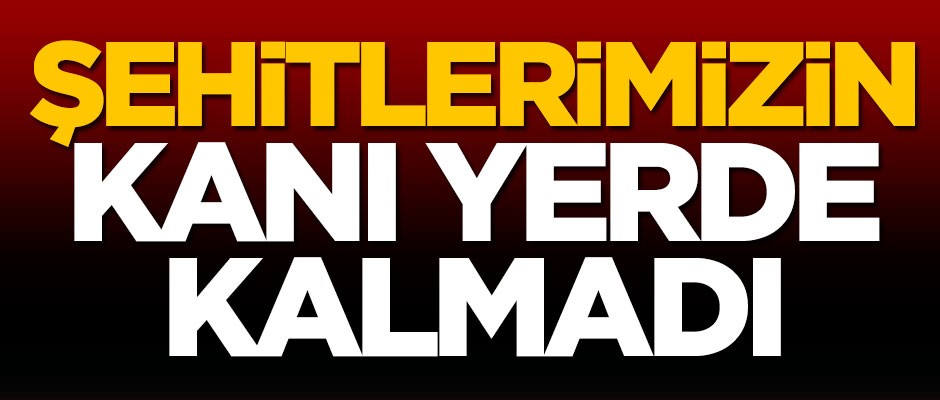 Milli Savunma Bakanlığı: Şehitlerimizin kanı yerde kalmadı