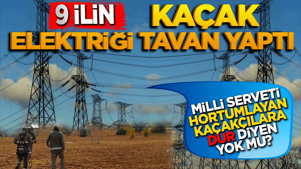 Milli serveti hortumlayan kaçakçılara dur diyen yok mu! 9 ilin kaçak elektriği tavan yaptı