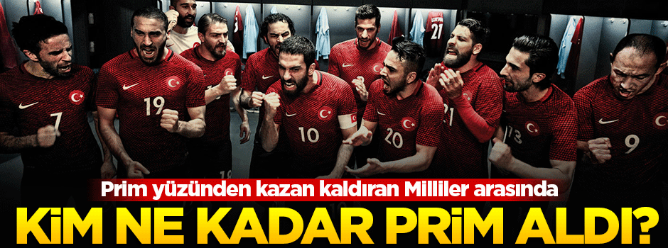 Milli Takım'da kim, ne kadar prim aldı?