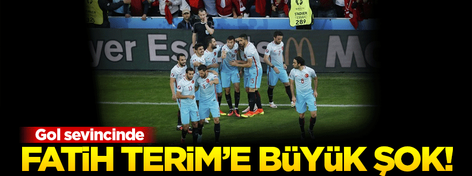 Milli Takım'ın gol sevincinde Terim'e büyük şok!