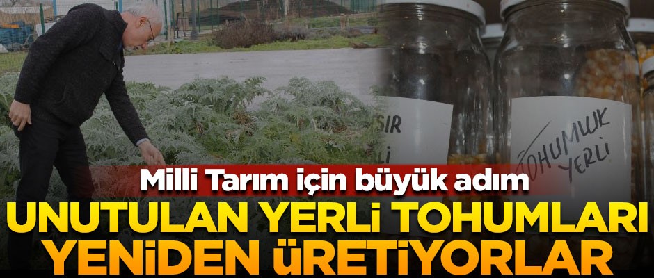 Milli Tarım için büyük adım! Unutulan yerli tohumları yeniden üretiyorlar