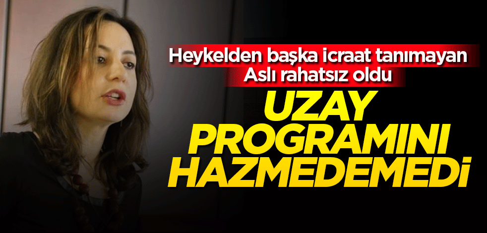Milli Uzay Programı Aslı Aydıntaşbaş'ı rahatsız etti