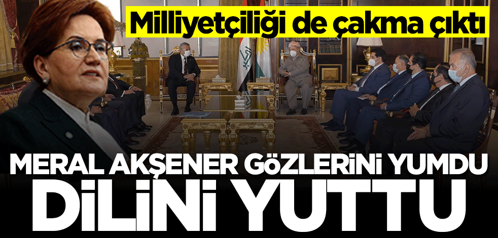 Milliyetçiliği de çakma çıktı... Meral Akşener gözlerini yumdu dilini yuttu