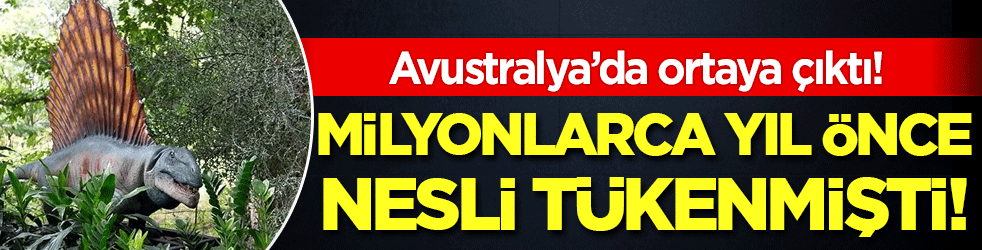 Milmyonlarca yıl önce nesli tükenmişti! Avustralya'da ortaya çıktı!