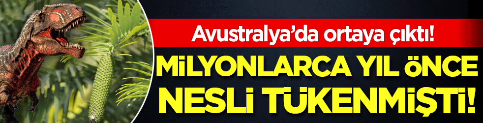 Milmyonlarca yıl önce nesli tükenmişti! Avustralya'da ortaya çıktı!
