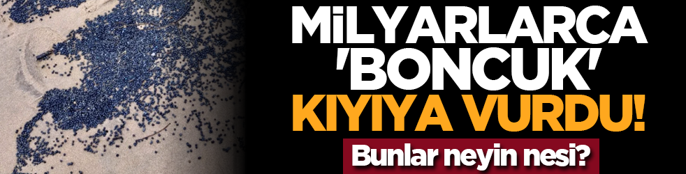 Milyarlarca 'boncuk' kıyıya vurdu! Bunlar neyin nesi?