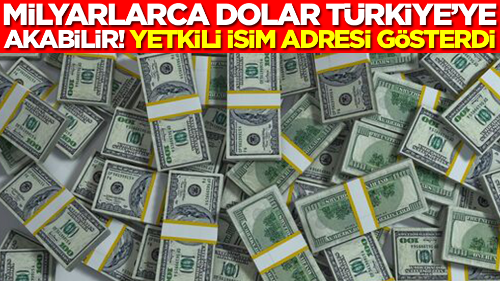 Milyarlarca dolar Türkiye'ye akabilir: Yetkili isim adresi gösterdi