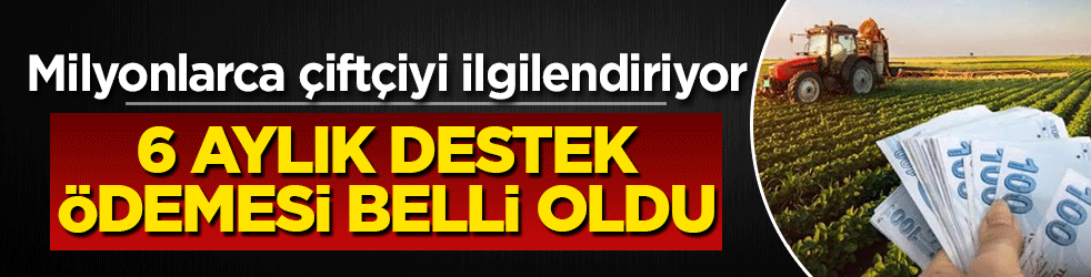 Milyonlarca &ccedil;ift&ccedil;iyi ilgilendiriyor! 6 aylık destek &ouml;demesi belli oldu