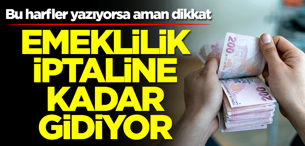 Milyonlarca emekliyi ilgilendiriyor! Bu harfler yazıyorsa dikkat: İptal olabilir