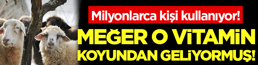 Milyonlarca insan kullanıyor: Meğer o vitamin koyundan geliyormuş!