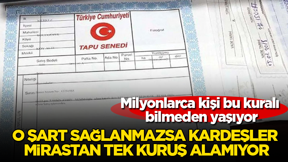 Milyonlarca kişi bu kuralı bilmeden yaşıyor! O şart sağlanmazsa kardeşler mirastan tek kuruş alamıyor