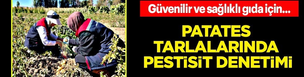  Milyonlarca kişiyi ilgilendiriyor... Hasat öncesi Patatese pestisit denetimi: Gıda güvenliği için son hali araştırılıyor!