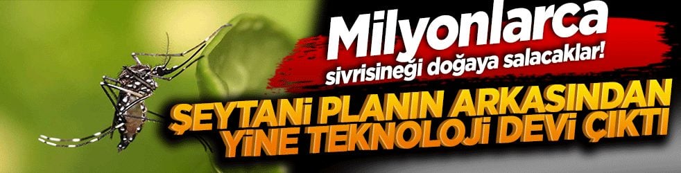 Milyonlarca sivrisineği doğaya salacaklar! Şeytani planın arkasından yine teknoloji devi çıktı