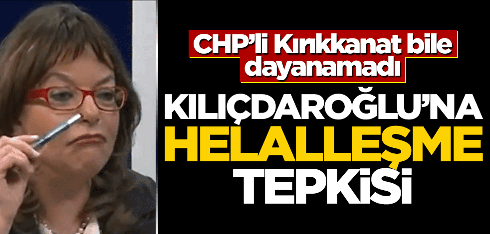 Mine Kırıkkanat bile dayanamadı! Kılıçdaroğlu'na "helalleşme" tepkisi