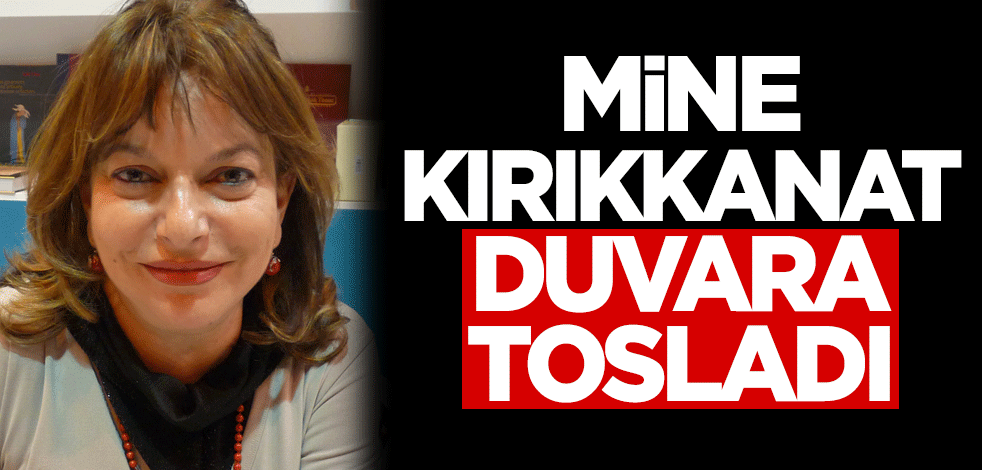 Mine Kırıkkanat duvara tosladı