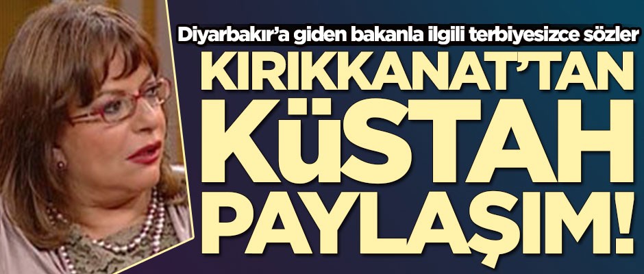 Mine Kırıkkanat'tan küstah paylaşım! Diyarbakır'a giden bakanımıza terbiyesiz sözler