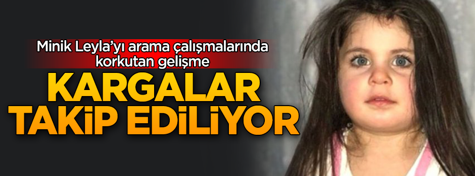 Minik Leyla'yı arama çalışmalarında korkutan gelişme! Köydeki kargalar takip ediliyor