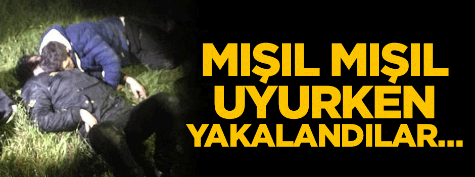 Mışıl mışıl uyurken yakalandılar…