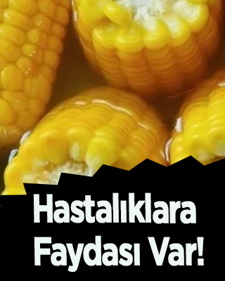 Mısır besin değeri: Haşlama mısır tarifi, nasıl yapılır?