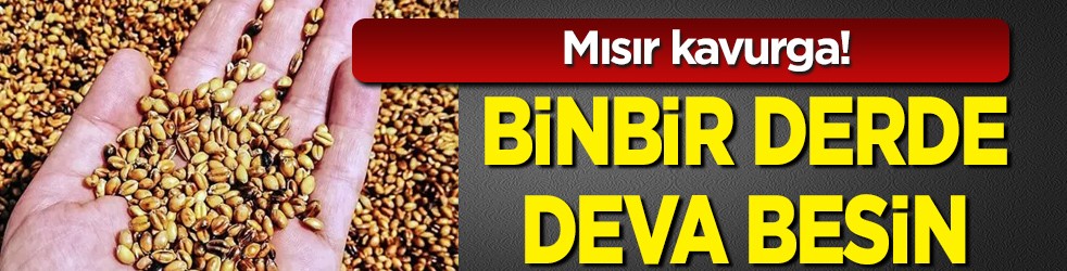 Mısır kavurga: Binbir derde deva besin ilaç olacak! Vücudu baştan aşağı yeniliyor! Tavsiye edildi
