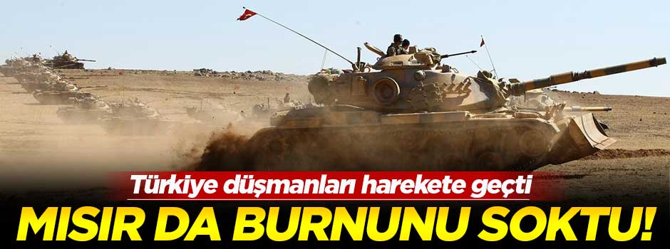 Mısır: Türkiye Irak'taki askerlerini çeksin