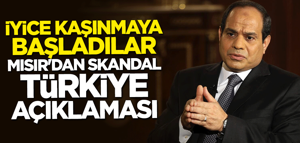 Mısır'dan skandal Türkiye açıklaması: Tamamıyla reddediyoruz