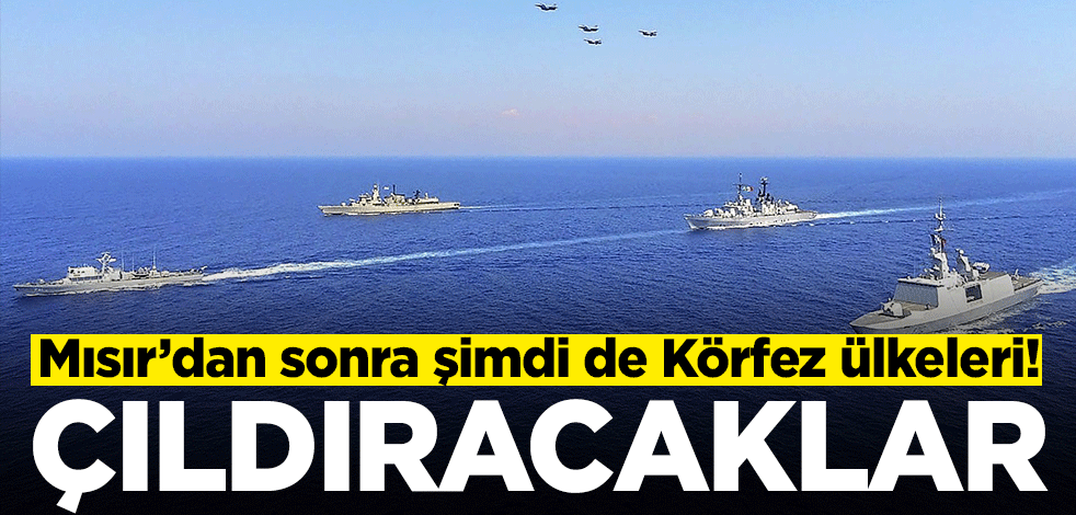 Mısır'dan sonra şimdi de Körfez ülkeleri! Çıldıracaklar