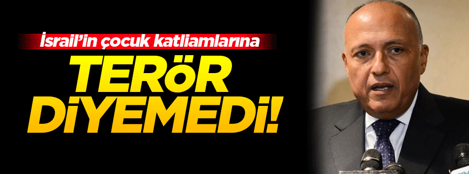 Mısırlı bakan İsrail'in çocukları katletmesine 'terör' demedi