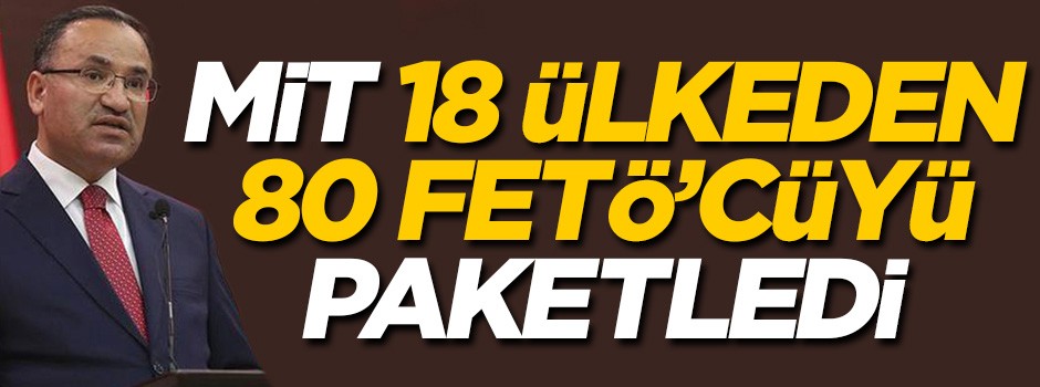 'MİT 18 ülkeden 80 FETÖ'cüyü paketledi'