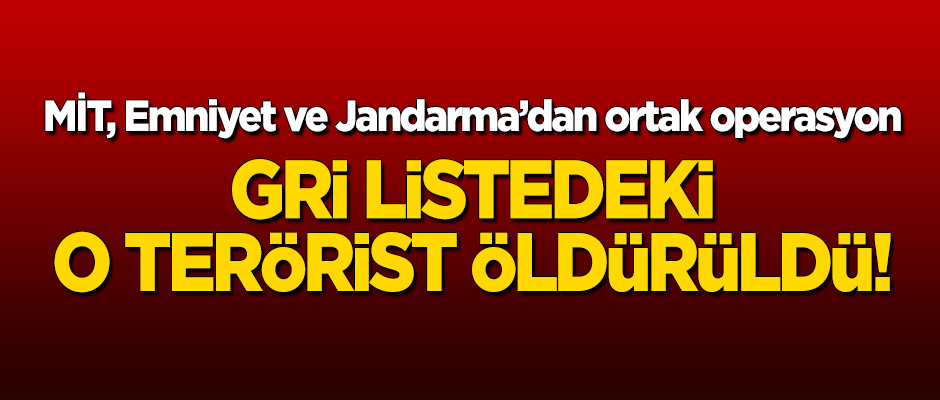MİT, Emniyet ve Jandarma'dan ortak operasyon! Gri listedeki o terörist öldürüldü