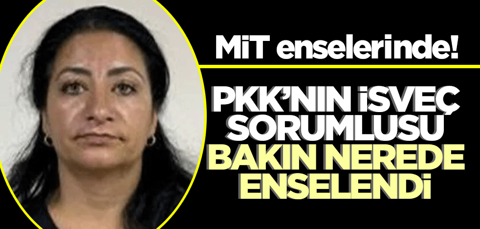MİT enselerinde! PKK’nın İsveç sorumlusu bakın nerede enselendi