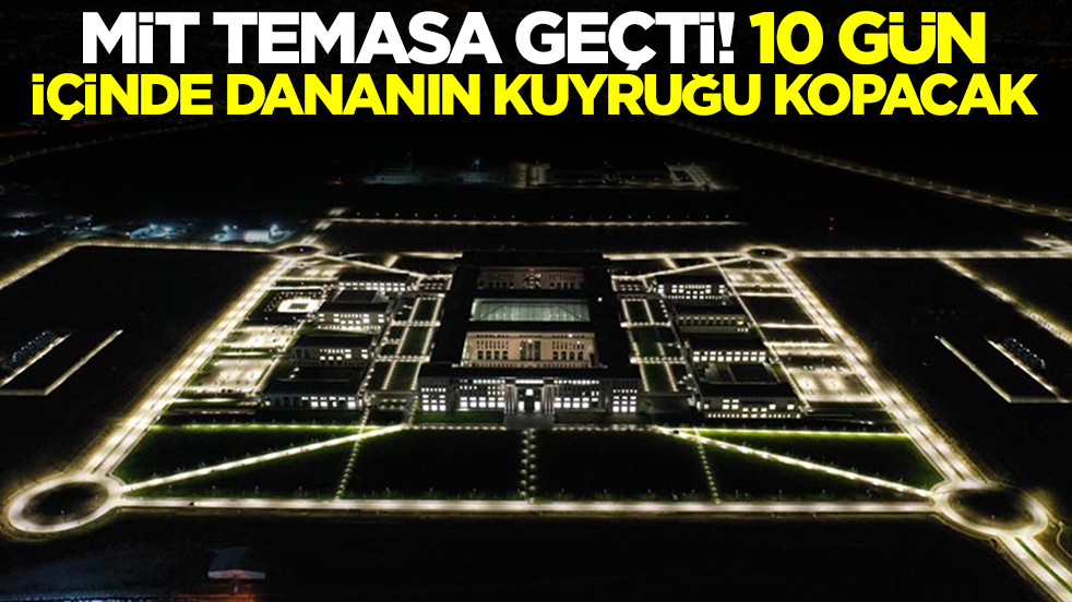 MİT temasa geçti: 10 gün içinde dananın kuyruğu kopacak