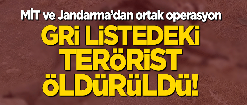 MİT ve Jandarma'dan ortak operasyon! Gri listedeki terörist öldürüldü