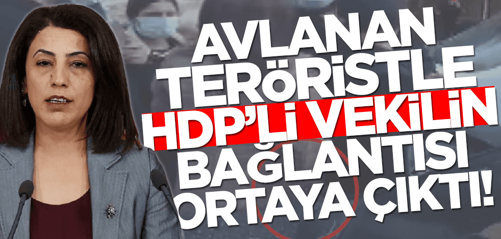 MİT'in öldürdüğü terörist Hasan Adır'la HDP'li milletvekilinin bağlantısı ortaya çıktı