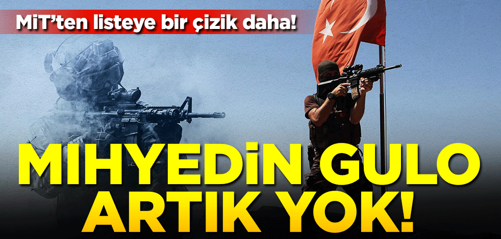 MİT'ten listeye bir çizik daha! Mıhyedin Gulo artık yok