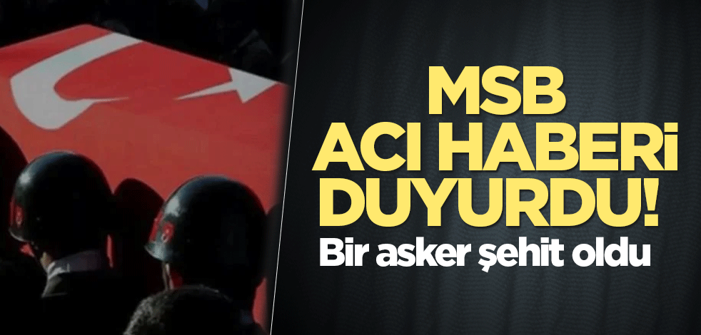 MSB acı haberi duyurdu! 1 asker şehit