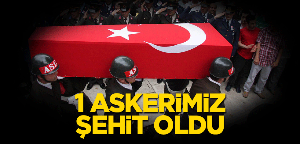 MSB acı haberi duyurdu: 1 asker şehit oldu