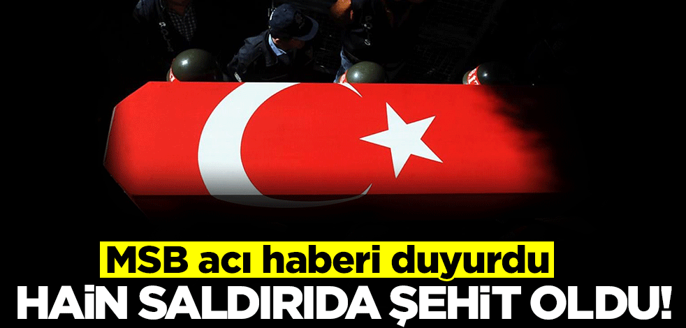 MSB acı haberi duyurdu: 1 askerimiz hain saldırıda şehit oldu!