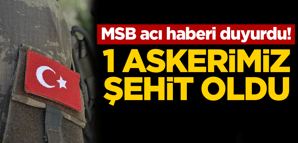 MSB acı haberi duyurdu! 1 askerimiz şehit oldu