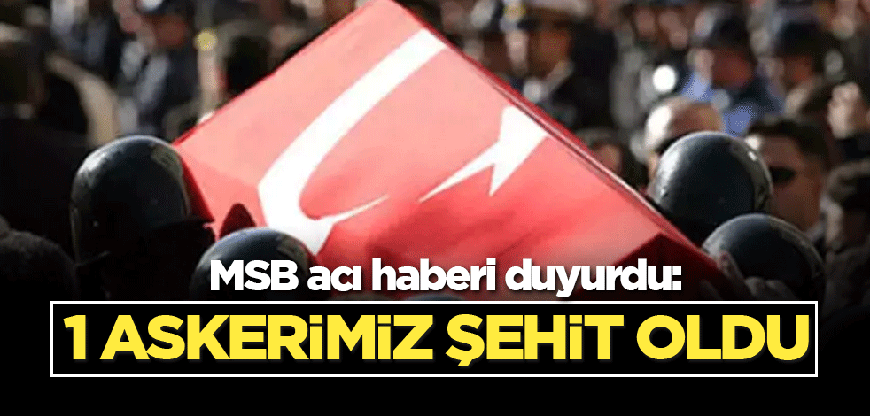MSB acı haberi duyurdu: 1 askerimiz şehit oldu