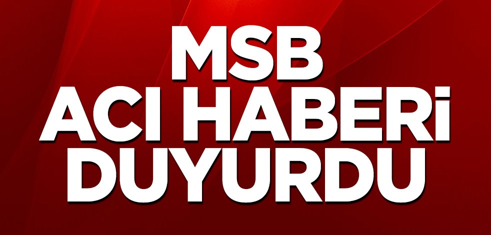 MSB acı haberi duyurdu: Bir asker şehit