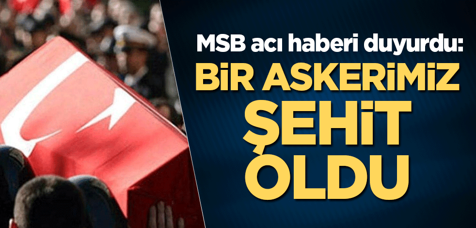 MSB acı haberi duyurdu: Bir askerimiz şehit oldu