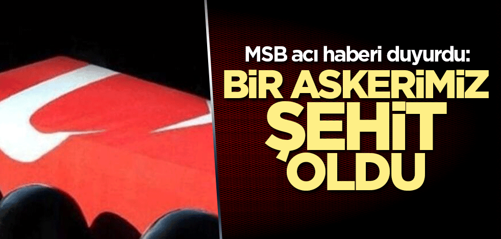 MSB acı haberi duyurdu: Bir askerimiz şehit oldu