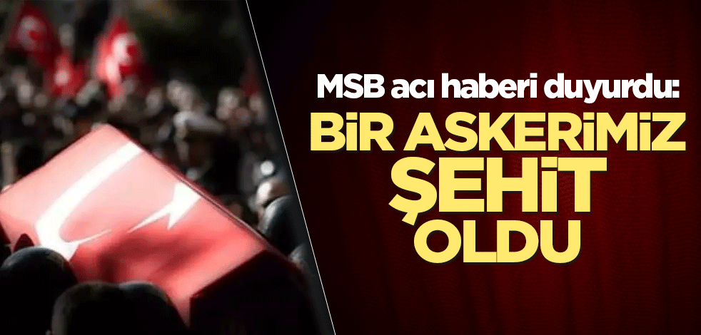 MSB acı haberi duyurdu: Bir askerimiz şehit oldu