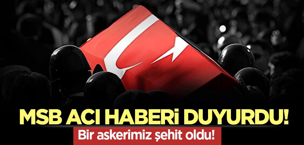 MSB acı haberi duyurdu! Bir askerimiz şehit oldu!
