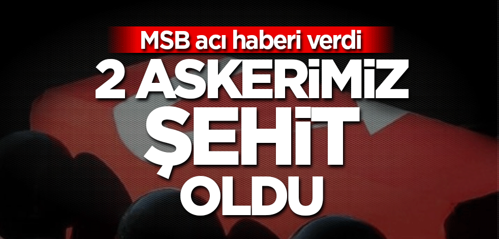 MSB acı haberi verdi: 2 askerimiz şehit oldu