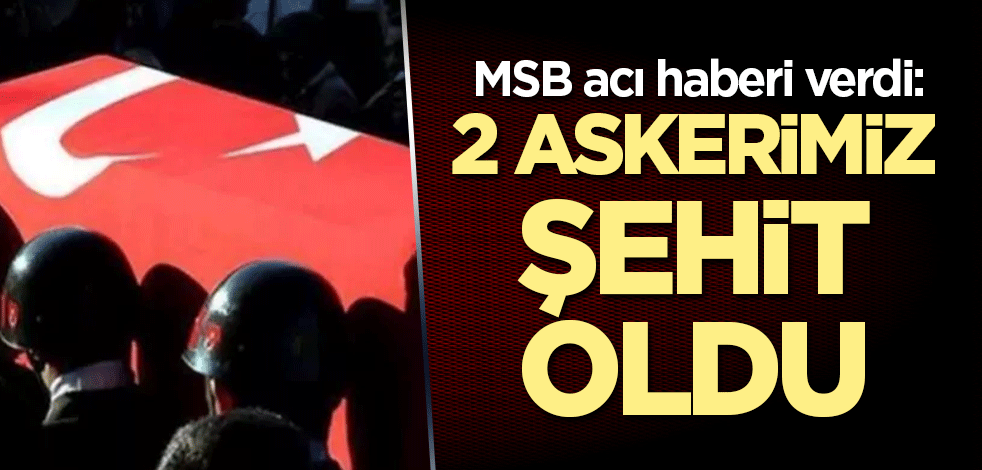 MSB acı haberi verdi: 2 askerimiz şehit oldu
