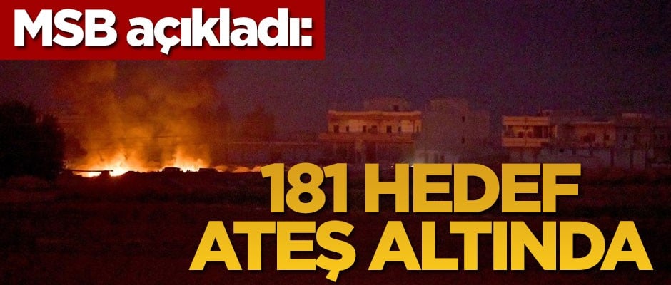 MSB açıkladı: 181 hedef ateş altında