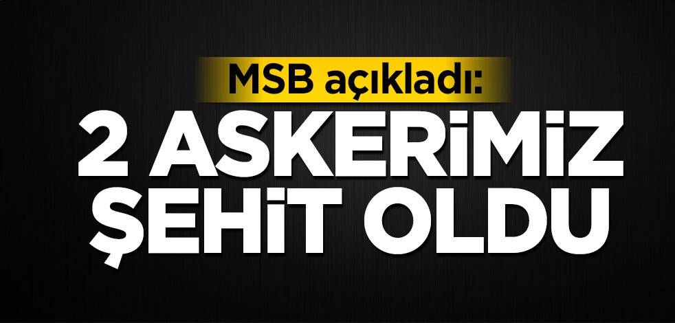 MSB açıkladı: 2 askerimiz şehit oldu
